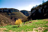 Parco delle cascate di Molina.